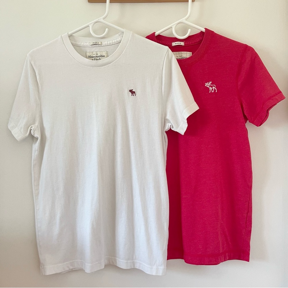 Abercrombie and fitches men’s tee (bundle of two both size M)